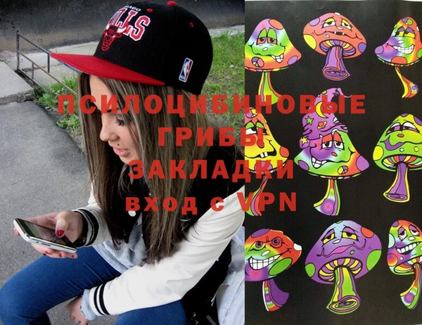 индика Абаза