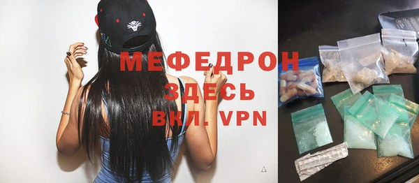 индика Абаза