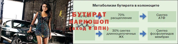 индика Абаза