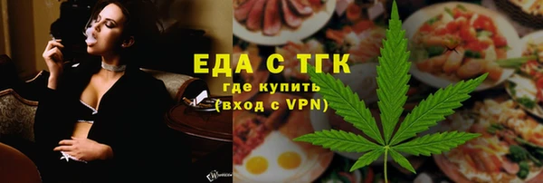 индика Абаза