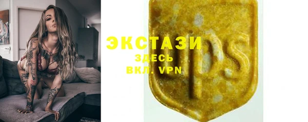 индика Абаза