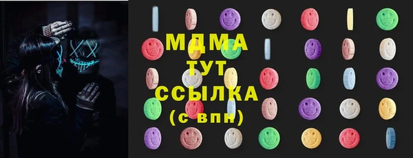 индика Абаза