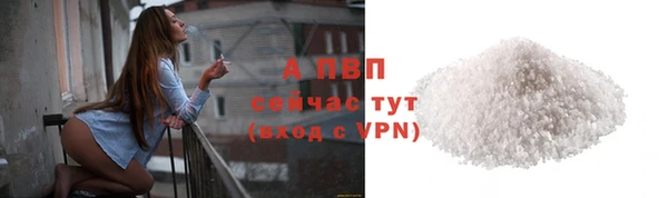 индика Абаза