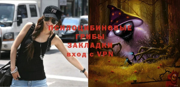 индика Абаза