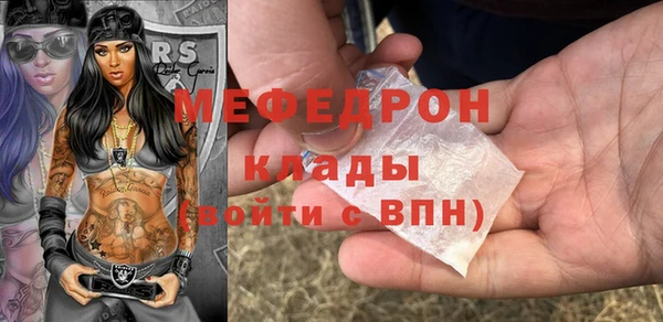 индика Абаза