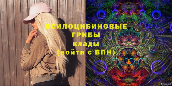 мдпв Абдулино