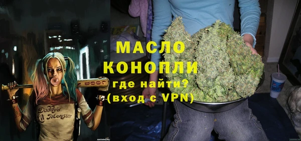 индика Абаза